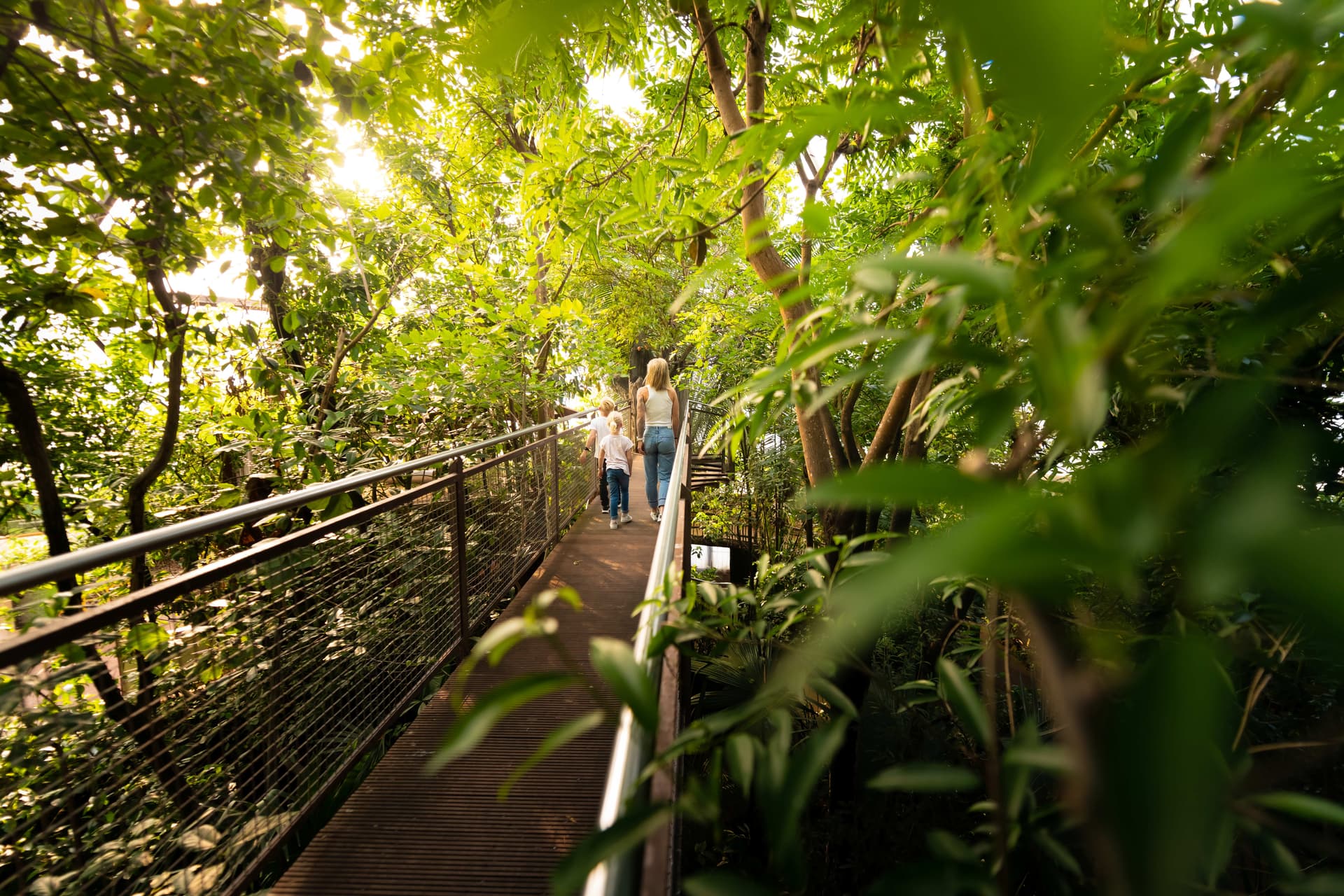 Papiliorama