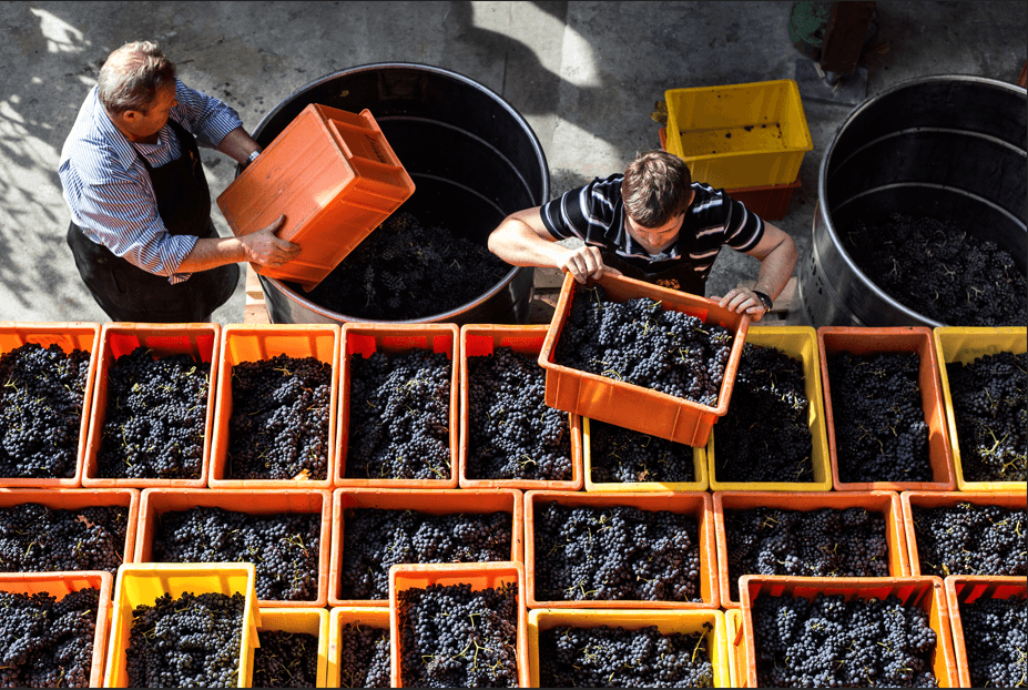 Wine Tasting at Domaine Donatsch