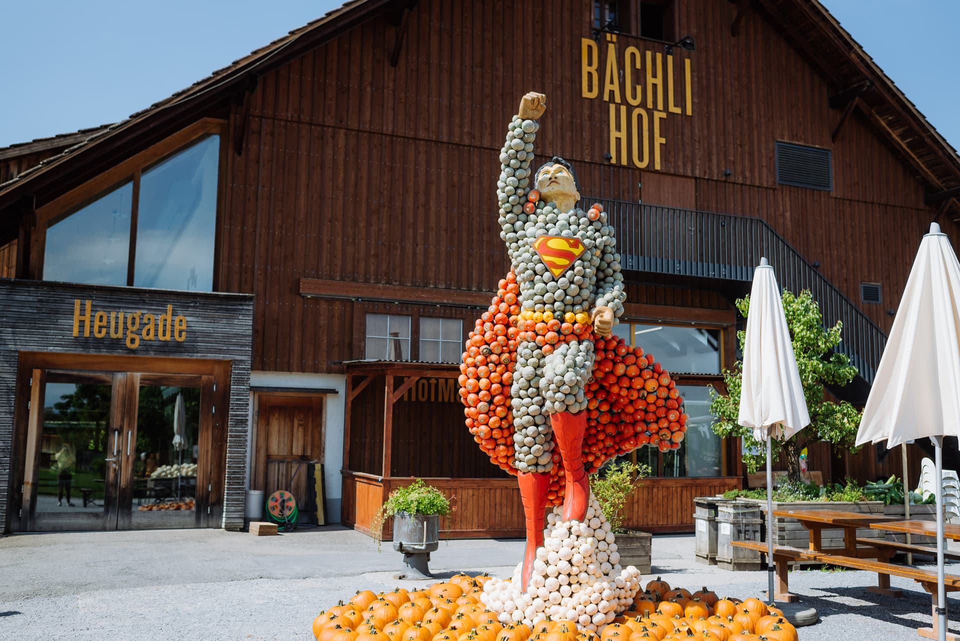 Pumpkin Exhibition Bächlihof Jona