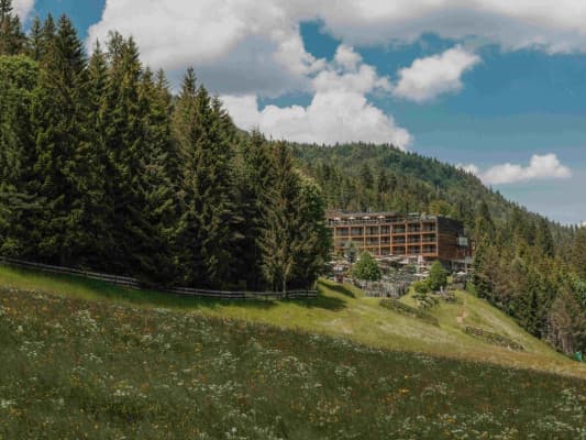 DAS KRONTHALER (adults only)