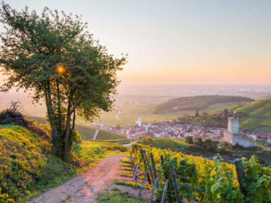 Welcome to Alsace! In today's edition, HotelCard takes you on a journey across the most beautiful co 