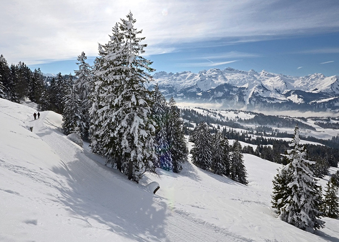 Winterzauber im 4* Sihlpark Hotel - Spüren Sie den Neuschnee unter Ihren Füssen und lassen Sie Schritt für Schritt den Alltag hinter 