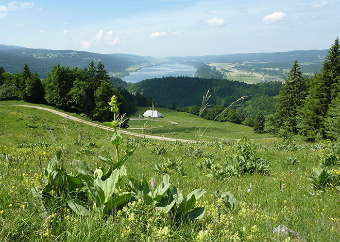 Hotels in Lake Geneva Region-Jura Vaudois Nature Park  At the north-western end of Lake Geneva, the Jura Vaudois Nature Park exte