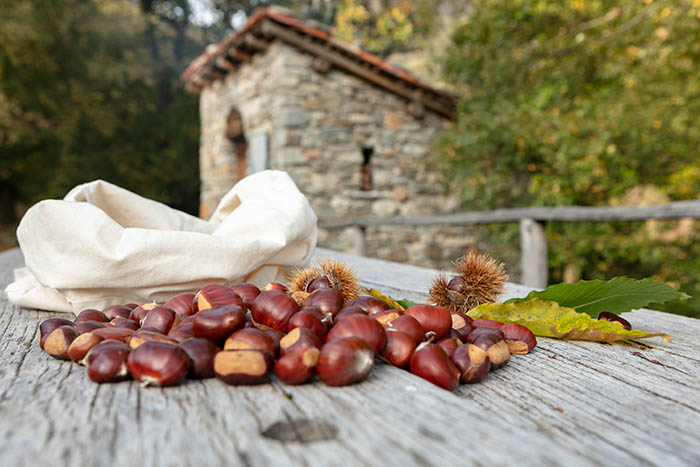 Hôtels dans le Tessin-Azienda Agrituristica Bio - La Finca  Si vous préférez plus de calme, il est recommandé de visite